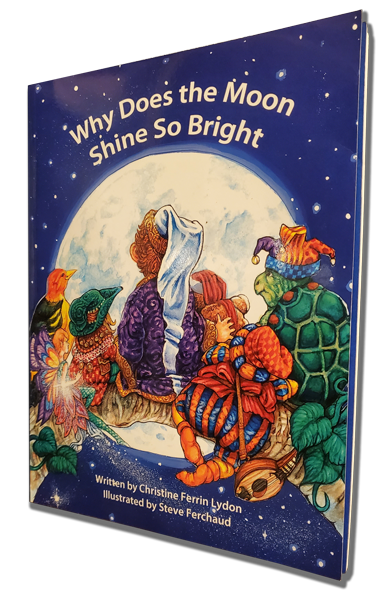 Why Does the Moon Shine So Bright book cover
